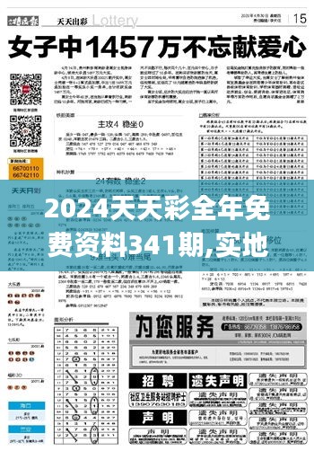 2024天天彩全年免费资料341期,实地策略计划验证_Gold6.525