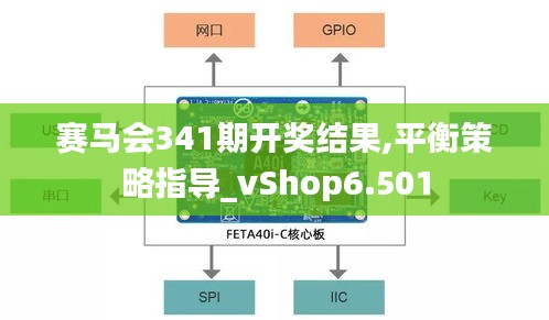 赛马会341期开奖结果,平衡策略指导_vShop6.501