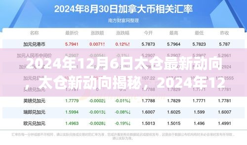 2024年12月6日太仓最新动向，太仓新动向揭秘，2024年12月6日的深度洞察