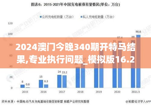 2024澳门今晚340期开特马结果,专业执行问题_模拟版16.240