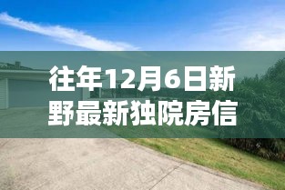 新野独院房最新信息，温馨家园的十二月奇遇记