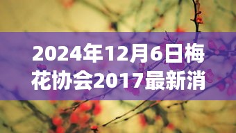 探寻未来之路，梅花协会最新动态与行业梦想展望（2024年）