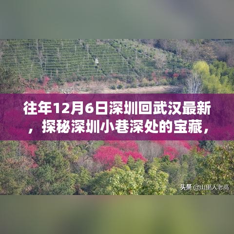 探秘深圳小巷深处的宝藏，武汉特色小店的隐藏之旅（历年12月6日深圳至武汉最新）