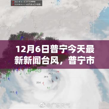 12月6日普宁今天最新新闻台风，普宁市最新新闻，台风来袭，如何应对？——关于台风天气的全面报道与深度分析