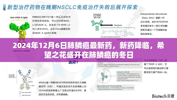 肺鳞癌新药问世，希望之花照亮冬日治疗之路（2024年12月）