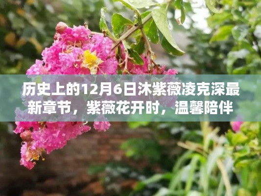 紫薇花开时的温馨陪伴，沐紫薇凌克深最新章节——历史上的12月6日