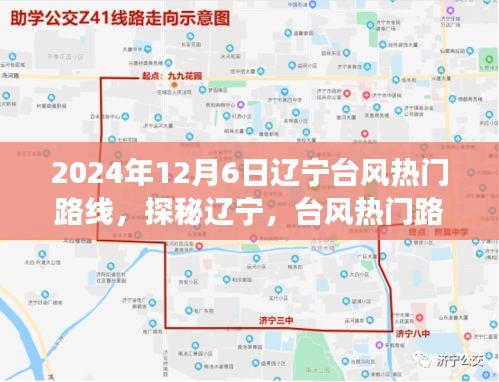 辽宁台风热门路线下的美食探秘之旅，隐秘小巷的味蕾盛宴（2024年12月6日）