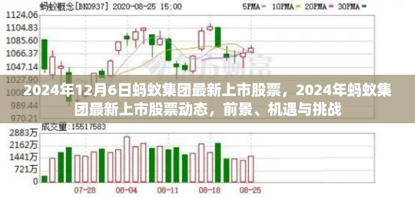 2024年蚂蚁集团上市股票动态，前景、机遇与挑战一览