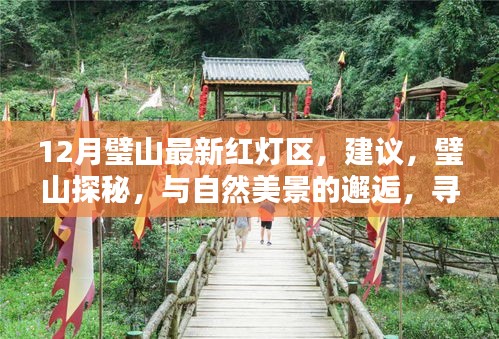 12月璧山最新红灯区，建议，璧山探秘，与自然美景的邂逅，寻找内心的宁静绿洲