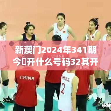 新澳门2024年341期今睌开什么号码32其开什么,数据支持设计计划_基础版7.802