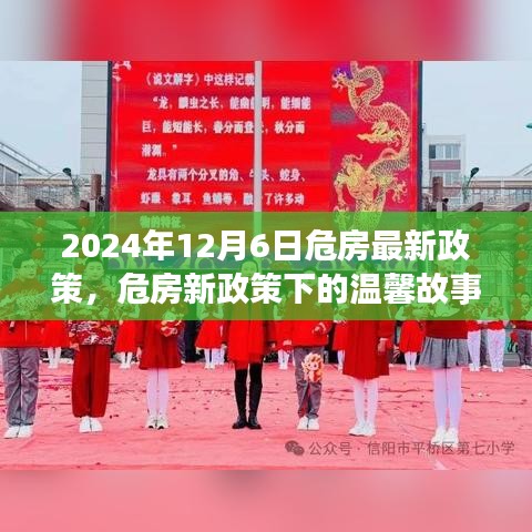 危房新政策下的温馨故事，旧屋换新颜，友情与家的温暖（2024年最新政策解读）