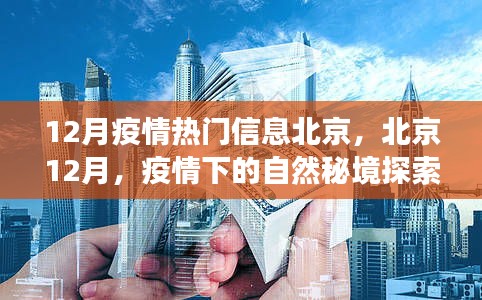 北京12月疫情下的自然探索之旅，秘境中的内心宁静与力量寻找记