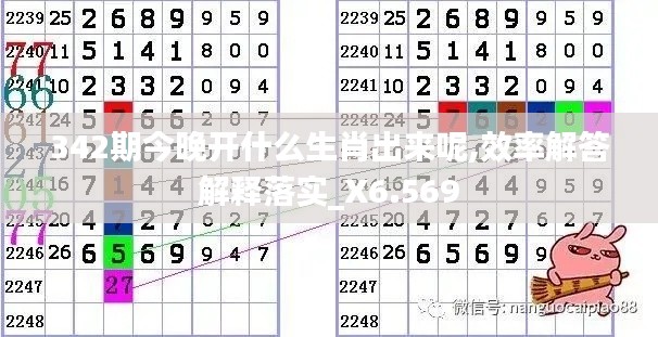 342期今晚开什么生肖出来呢,效率解答解释落实_X6.569