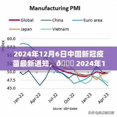 2024年12月6日中国新冠疫苗最新通知与详细解读