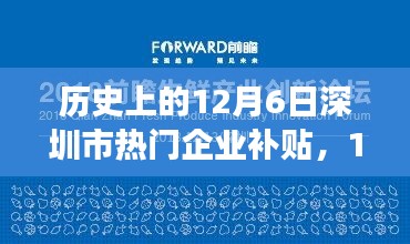 2024年12月8日 第10页