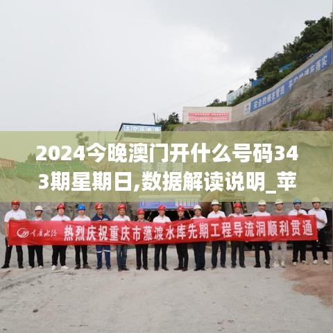 2024今晚澳门开什么号码343期星期日,数据解读说明_苹果版4.120