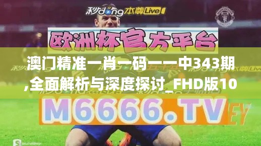 澳门精准一肖一码一一中343期,全面解析与深度探讨_FHD版10.728