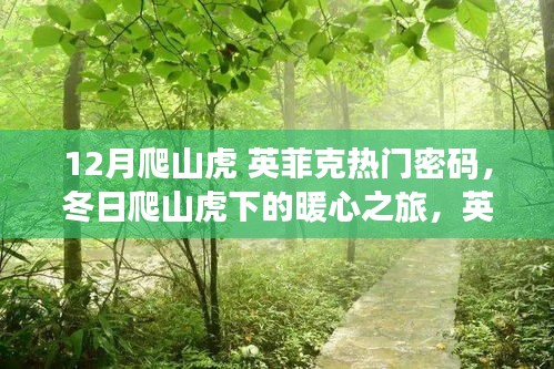 英菲克密码下的暖心之旅，冬日爬山虎下的温情故事