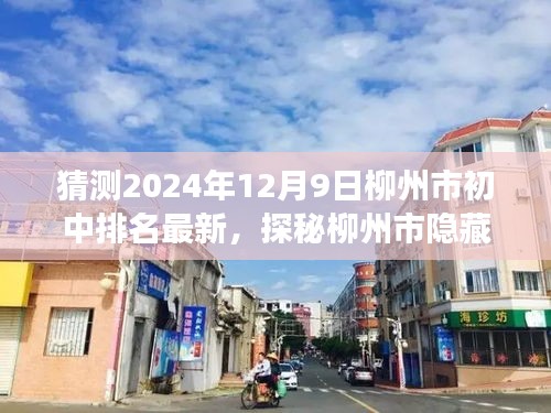 探秘柳州市隐藏小巷与特色小店故事，揭秘2024年柳州市初中排名背后的故事与最新排名猜测