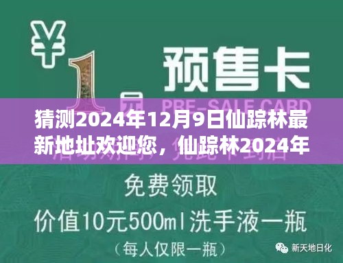 仙踪林最新体验地址评测与介绍，探寻2024年12月9日的神秘之地