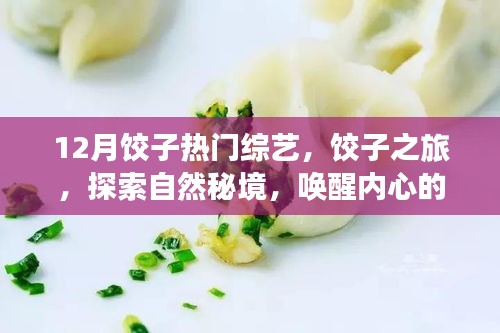 饺子之旅，探索自然秘境，唤醒内心的宁静与欢笑——12月饺子热门综艺