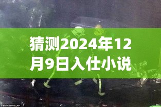 燃烧岁月，逐梦前行，入仕小说新篇章震撼启示 2024年12月9日最新章节猜测