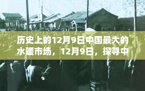 探寻中国水暖市场背后的自然秘境，历史视角下的12月9日市场深度解析