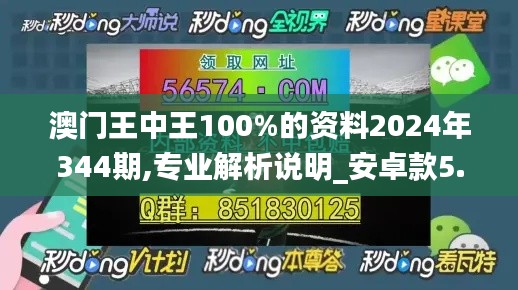 澳门王中王100%的资料2024年344期,专业解析说明_安卓款5.739