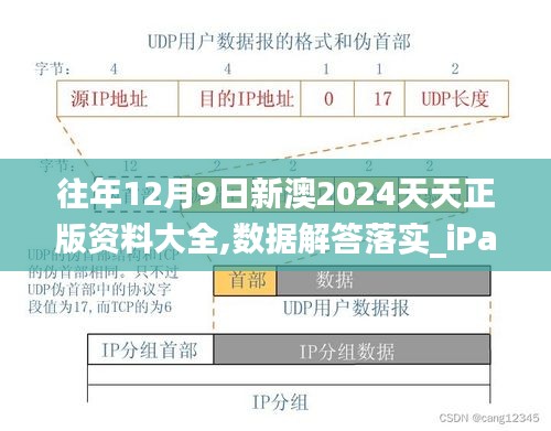 往年12月9日新澳2024天天正版资料大全,数据解答落实_iPad9.371