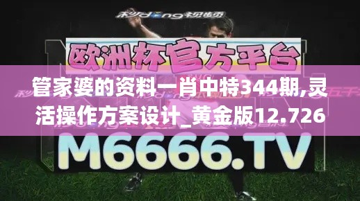 管家婆的资料一肖中特344期,灵活操作方案设计_黄金版12.726