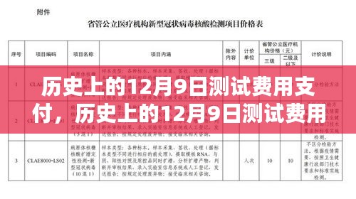 历史上的12月9日测试费用支付情况及其产品评测概述