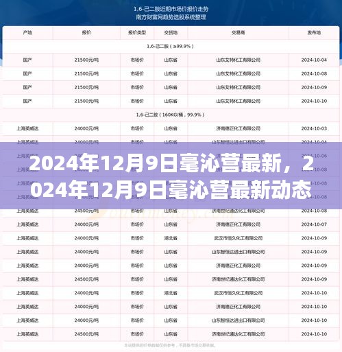 2024年12月9日毫沁营最新动态，探索未来，预见美好