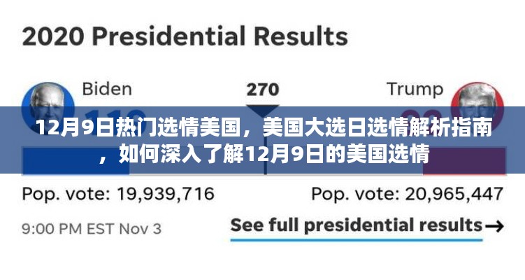 美国大选日选情解析，深入了解12月9日美国选情指南