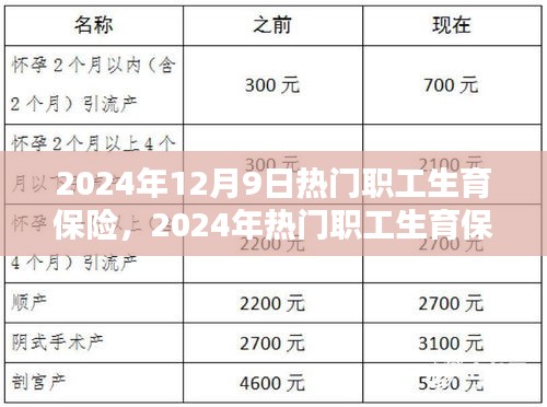 2024年职工生育保险申请全攻略，入门到精通