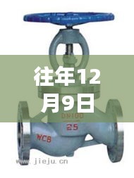 揭秘往年12月9日热门水暖阀门品牌榜单揭晓！