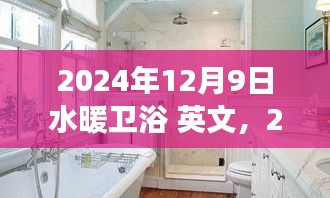 2024年水暖卫浴行业展望，创新与发展的融合，行业趋势及英文市场分析