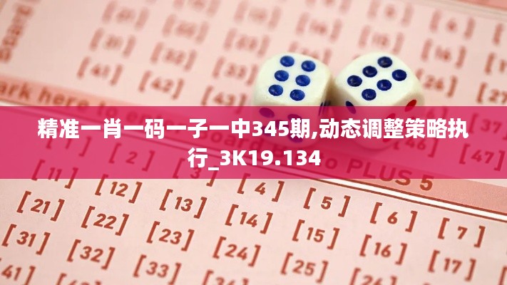 精准一肖一码一子一中345期,动态调整策略执行_3K19.134