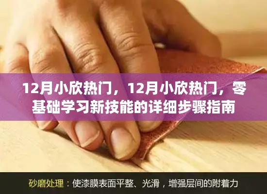 零基础学习新技能的详细步骤指南，12月小欣热门热门指南