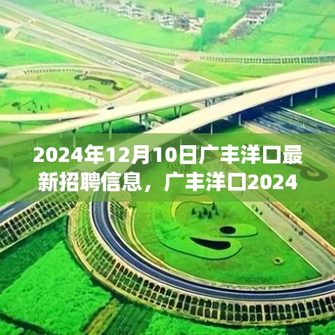 广丰洋口最新招聘启事，与自然美景同行，启程寻找宁静之旅（2024年12月10日）