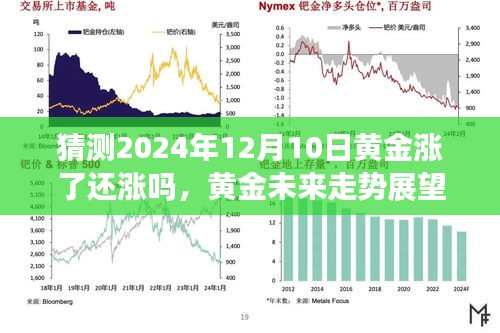 聚焦未来黄金走势，2024年黄金价格预测及黄金走势展望