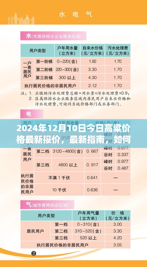 2024年12月10日高粱价格最新动态及解读指南