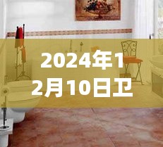 探秘卫浴水暖秘境，小巷深处的特色小店非凡之旅（2024年12月10日）