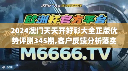 2024澳门天天开好彩大全正版优势评测345期,客户反馈分析落实_8DM10.908