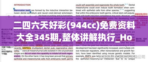 二四六天好彩(944cc)免费资料大全345期,整体讲解执行_Holo7.169