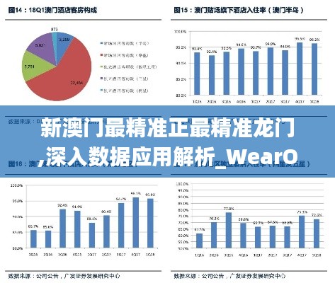 新澳门最精准正最精准龙门,深入数据应用解析_WearOS9.521