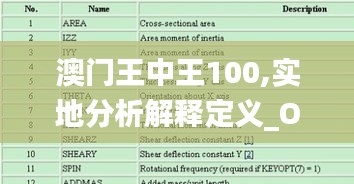 澳门王中王100,实地分析解释定义_OP1.752