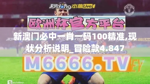 新澳门必中一肖一码100精准,现状分析说明_冒险款4.847