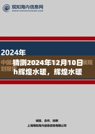 辉煌水暖，预测2024年市场领航之作的深度评测与介绍