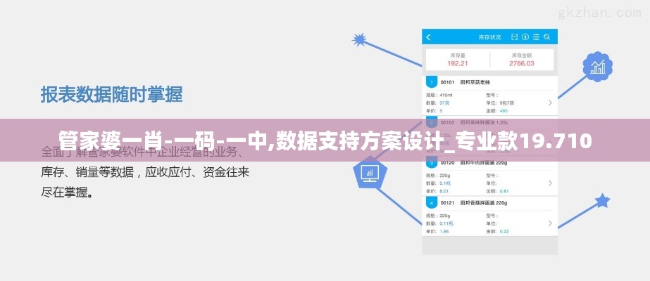 管家婆一肖-一码-一中,数据支持方案设计_专业款19.710