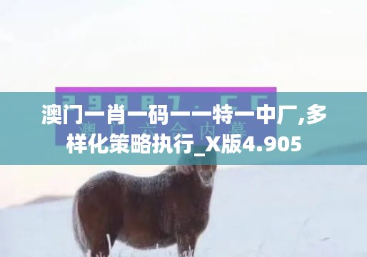 澳门一肖一码一一特一中厂,多样化策略执行_X版4.905